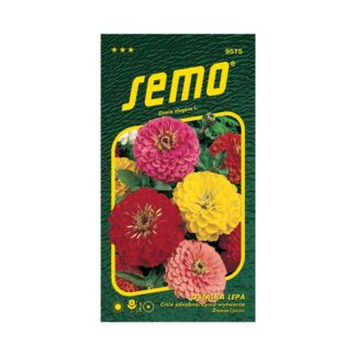 Cínia pôvabná „GEANT DE CALIFORNIA“