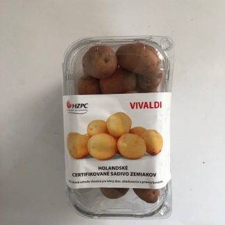 Holandské sadivo zemiakov „VIVALDI“ žltá, skorá, varný typ B, cca 1 kg