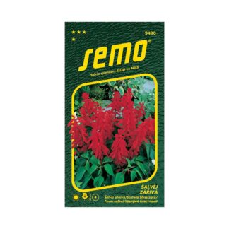 Šalvia ohnivá „KARKULKA“