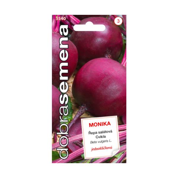 Cvikla šalátová „MONIKA“