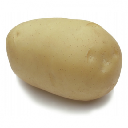 Holandské sadivo zemiakov „ADORA“ žltá, veľmi skorá, varný typ B, cca 1 kg