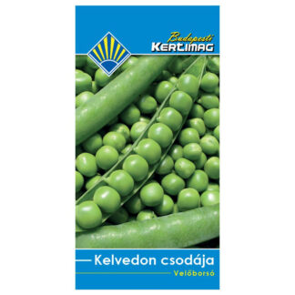 Hrach siaty „KELVEDON CSODÁJA“ (Zázrak z kelvedonu) 200 g