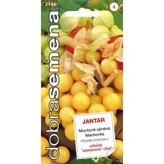 Machovka peruánska ananásová „JANTAR“