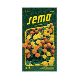Aksamietica rozložitá „PETIT ZMES“