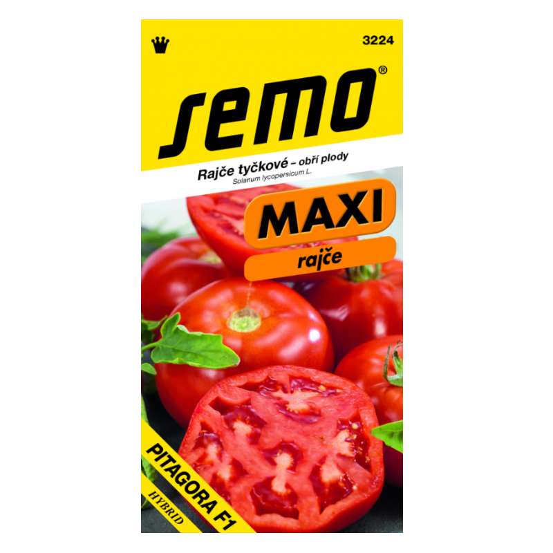 Rajčiak kolíkový MAXI „PITAGORA F1“