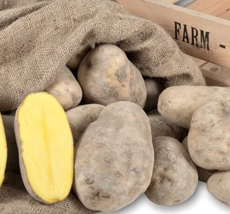 Sadbové zemiaky žlté stredne neskoré na uskladnenie “FONTANE” 25 kg, 35-55mm