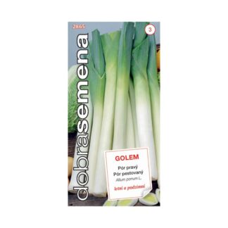 Pór pravý „GOLEM“