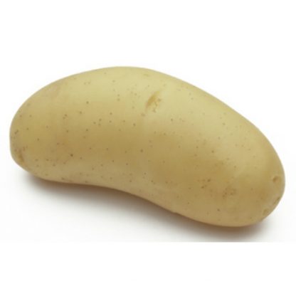 Holandské sadivo zemiakov “ANNABELLE” žltá, skorá, varný typ A, cca 1 kg