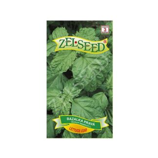 Bazalka pravá „LETTUCE LEAF“