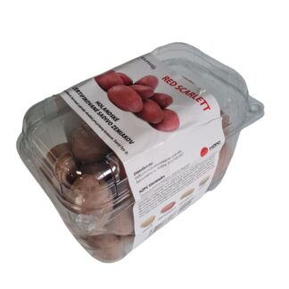 Holandské sadivo zemiakov “RED SCARLETT” ružiak, veľmi skorá, varný typ B, cca 1 kg