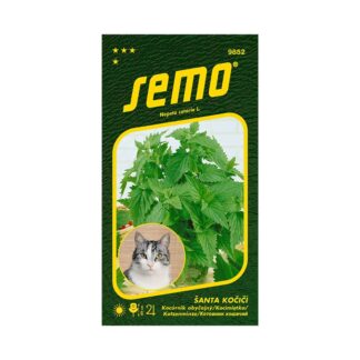 Kocúrnik obyčajný