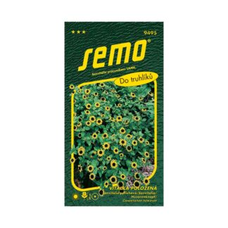 Sanvitália poliehavá žltá