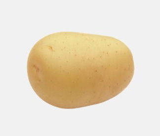 Holandské sadivo zemiakov „CARRERA“ žltá, veľmi skorá, varný typ B, cca 1 kg
